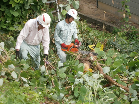 除草作業