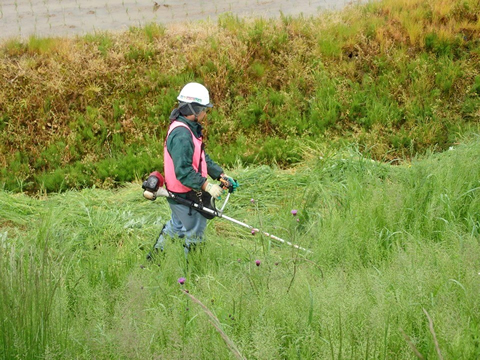 除草作業